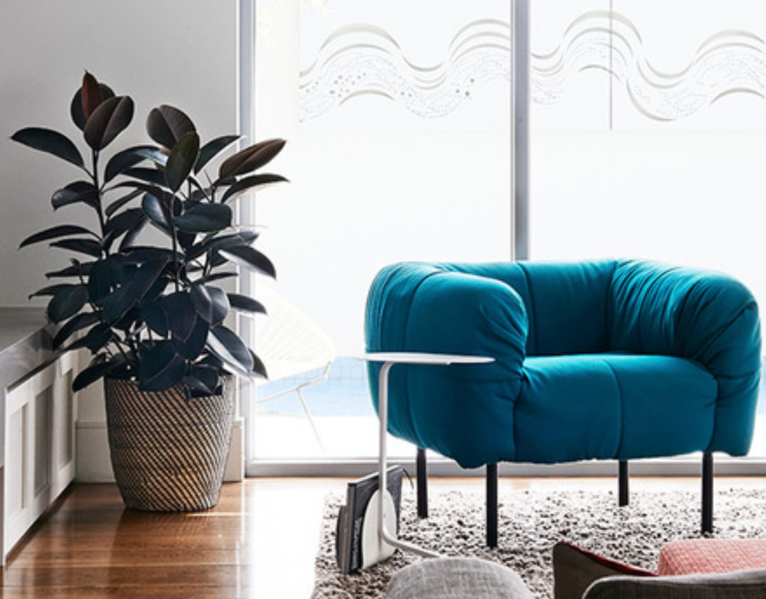 the benefits of indoor plants