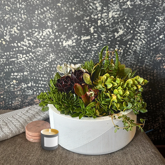 The Stalk - Succulent Bowl (39cm)