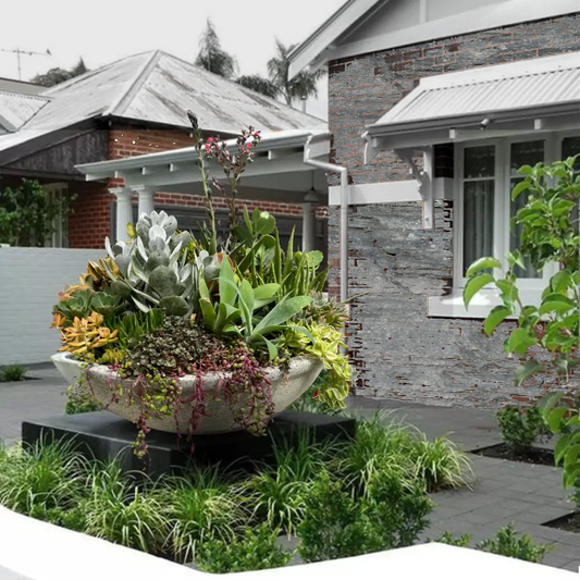 The Statement - Extra Large Succulent Bowl