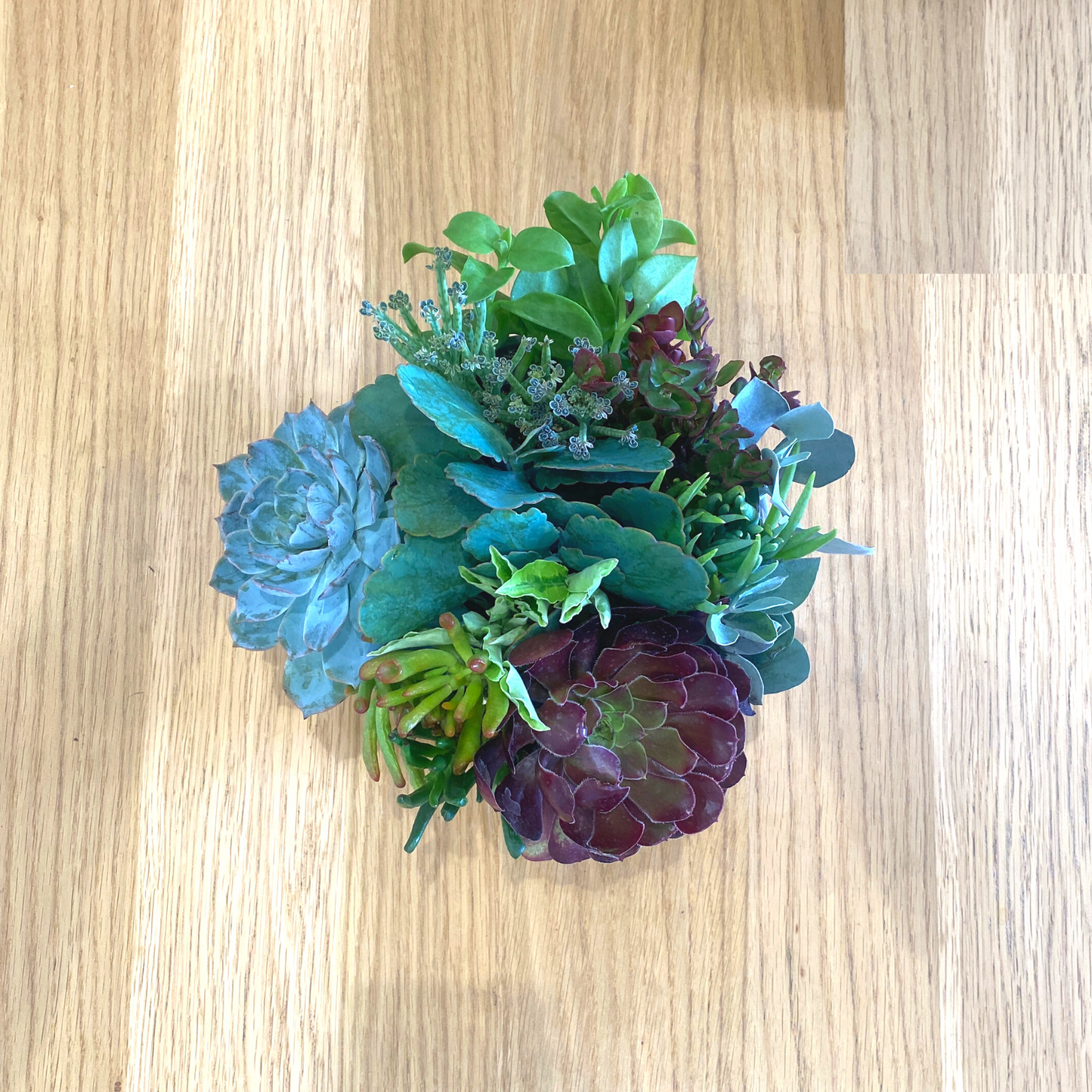 The Bud - Succulent Bowl - Grey (21cm)