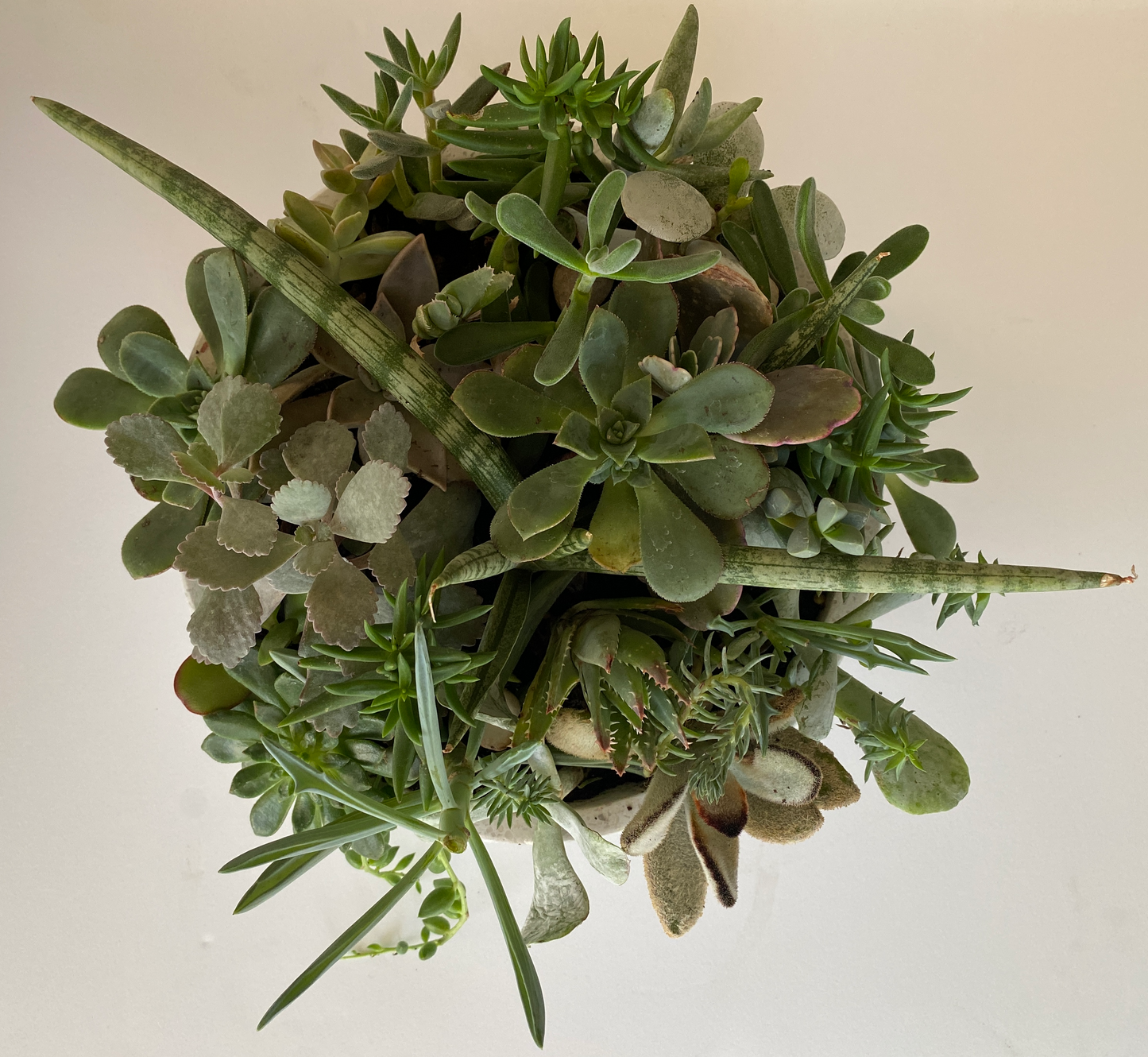 the stone series - Always Greener