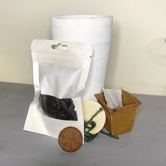 Grow Your Own Greenery - Gift Pack - Le Botanist