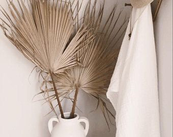 Dried Palm Leaf - Le Botanist