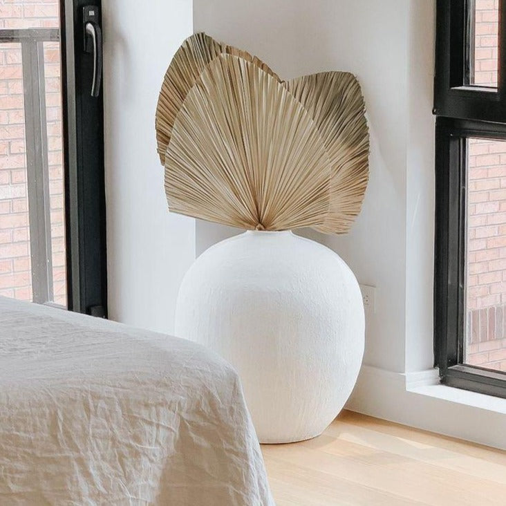 Dried Palm Leaf - Le Botanist