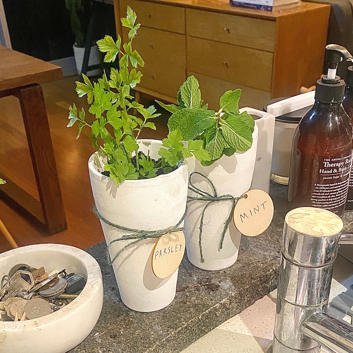 Grow Your Own Greenery - Gift Pack - Le Botanist
