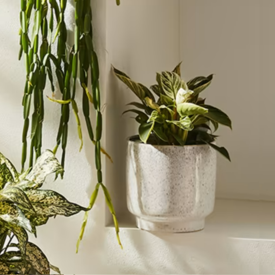 Blue speckled ceramic pot