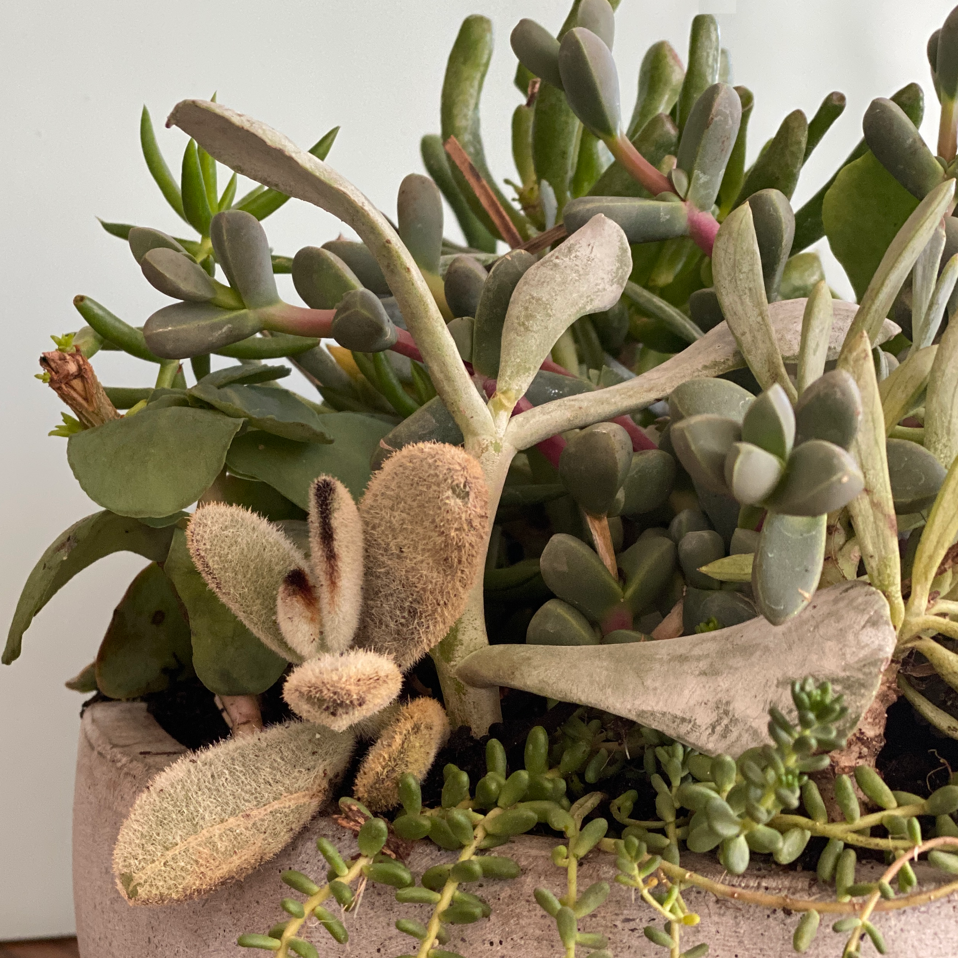 the stone series - Always Greener